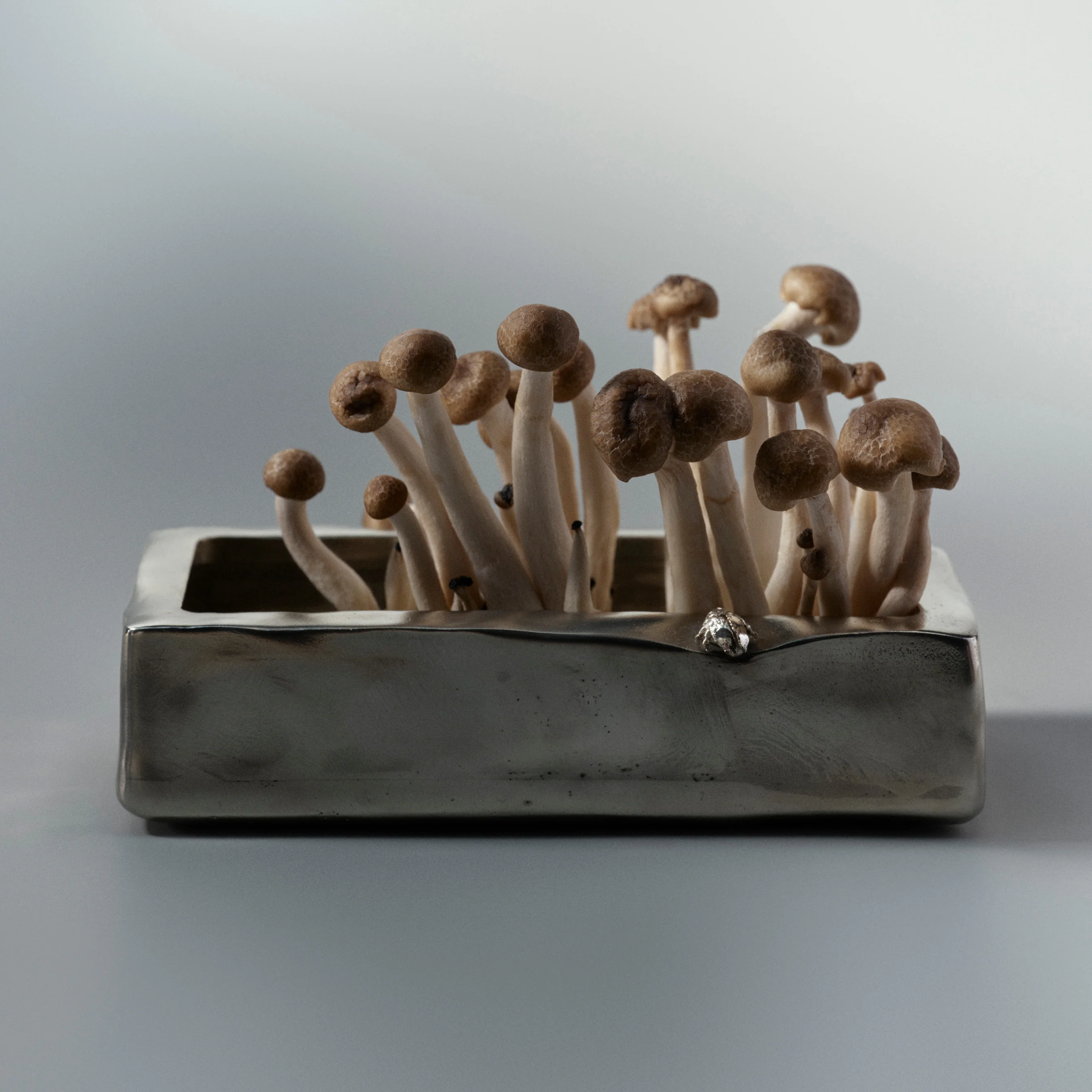 Miniature 2