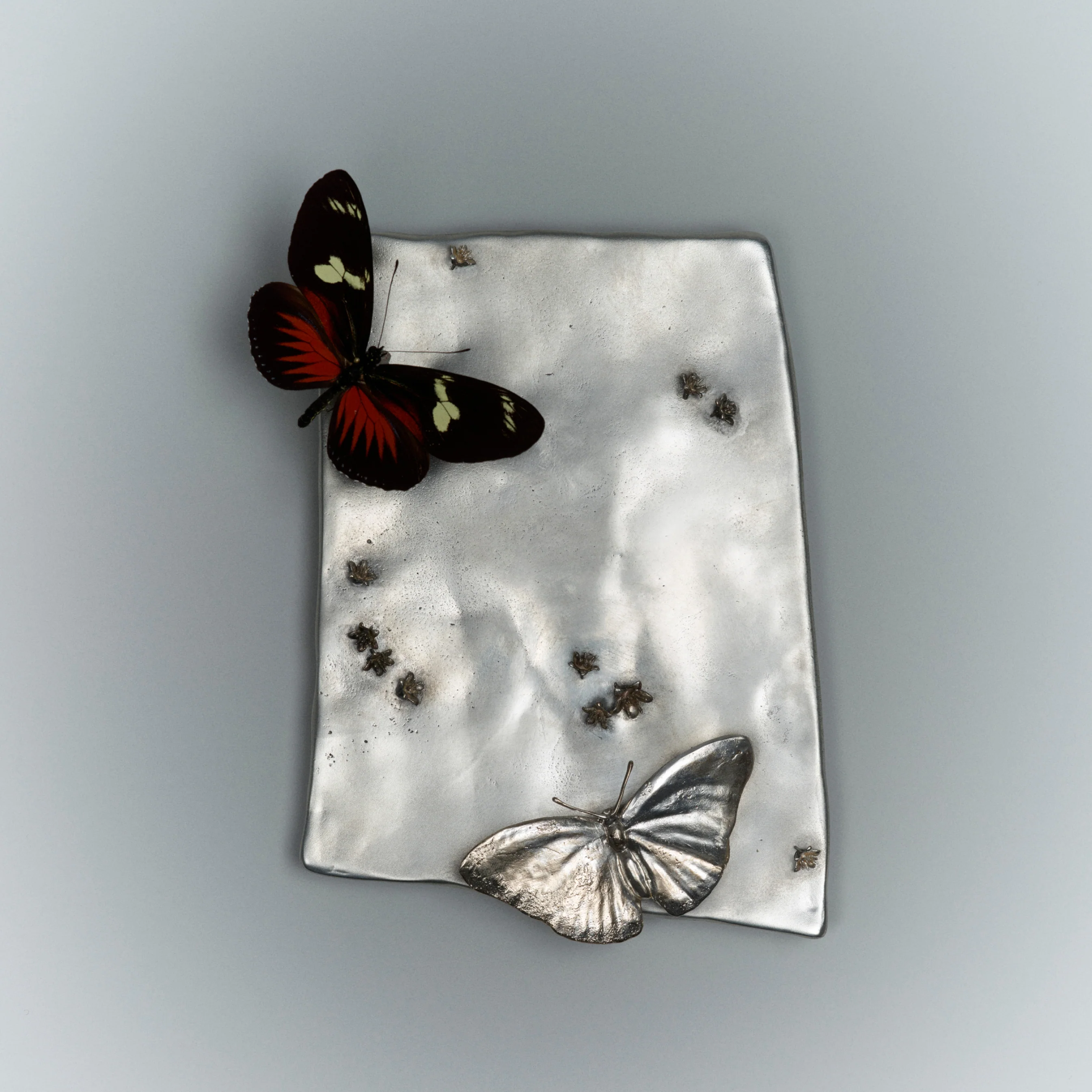 Miniature 1